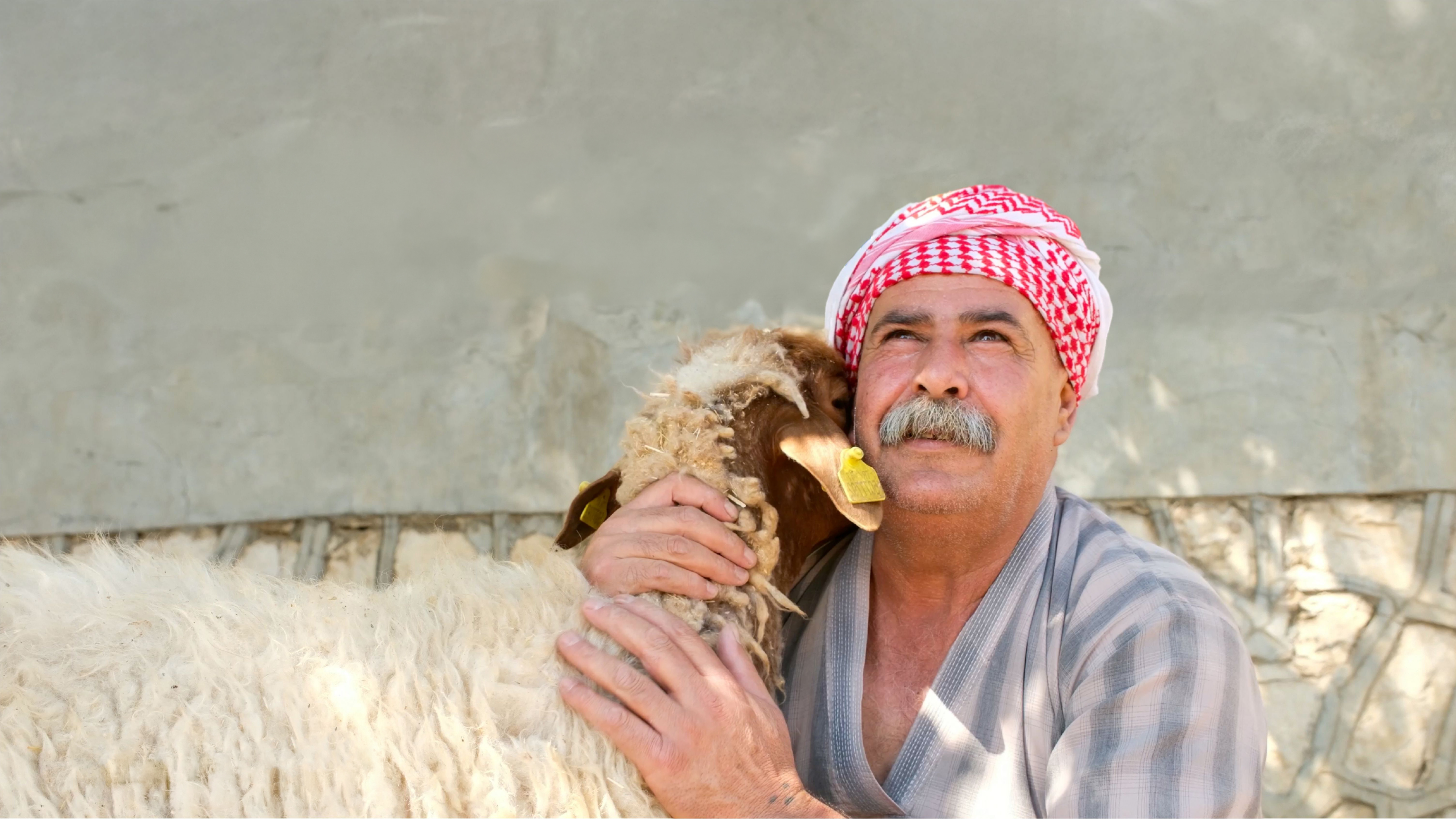 Bir Koyunla Başlayan Umut: Muhammed'in Yeniden Başlama Hikâyesi